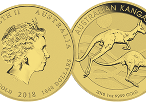 Australian Gold Kangaroos