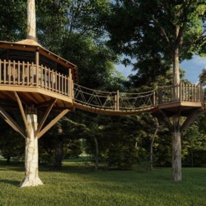 Tree House